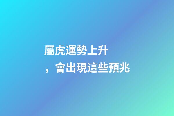 屬虎運勢上升，會出現這些預兆